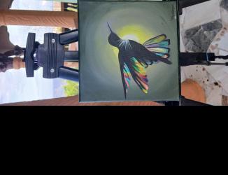 Acrylic painting of a hummingbird in flight, black silhouette with multicolored rainbow feathers on wings and tail, yellow glowing halo around it on dark green background, by Taniki Anderson